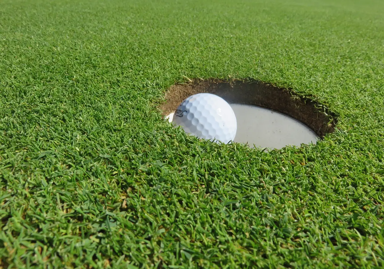 golf ball, nature, golf, holed, ball, putting green, putt, hits, profit, hole, grass